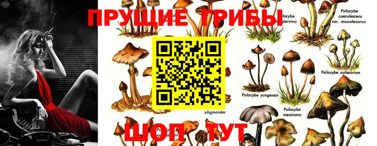 Экстази  Гашиш  Кокаин  Вход с VPN  Мефедрон   Вейп ТГК  Бошки Шишки  ГАШ  Горно-Алтайск  MDMA  МЕФ 